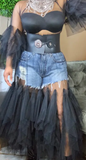 Plus Size Sheer Tutu Dress